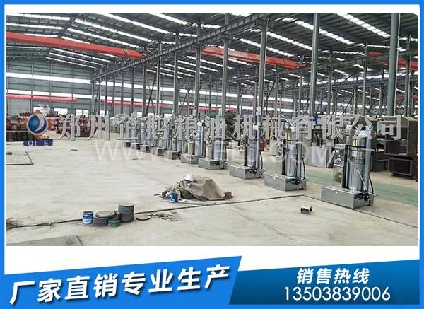 企鵝榨油機:新疆10噸核桃油壓榨生產線安裝進行中(圖2) 液壓榨油機